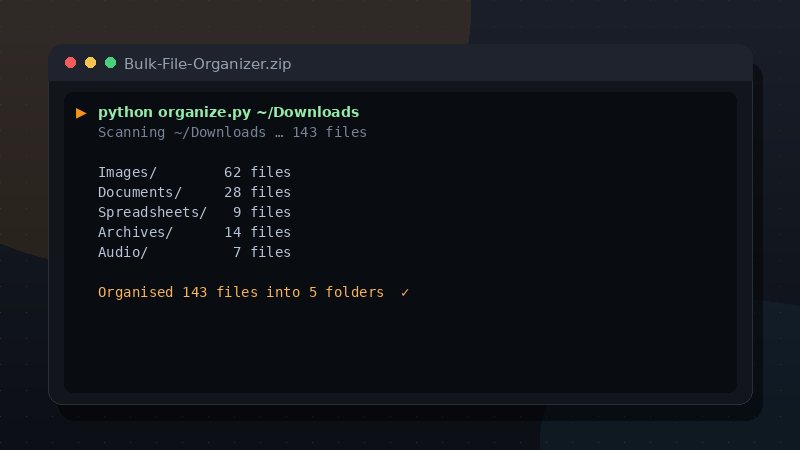 Bulk File Organizer preview