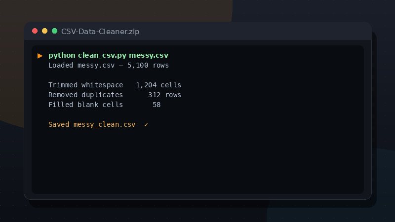 CSV Data Cleaner preview