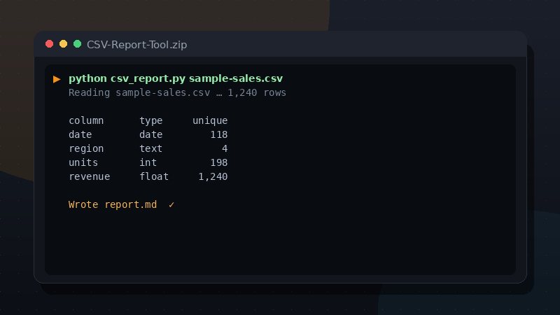 CSV Report Tool (Python) preview